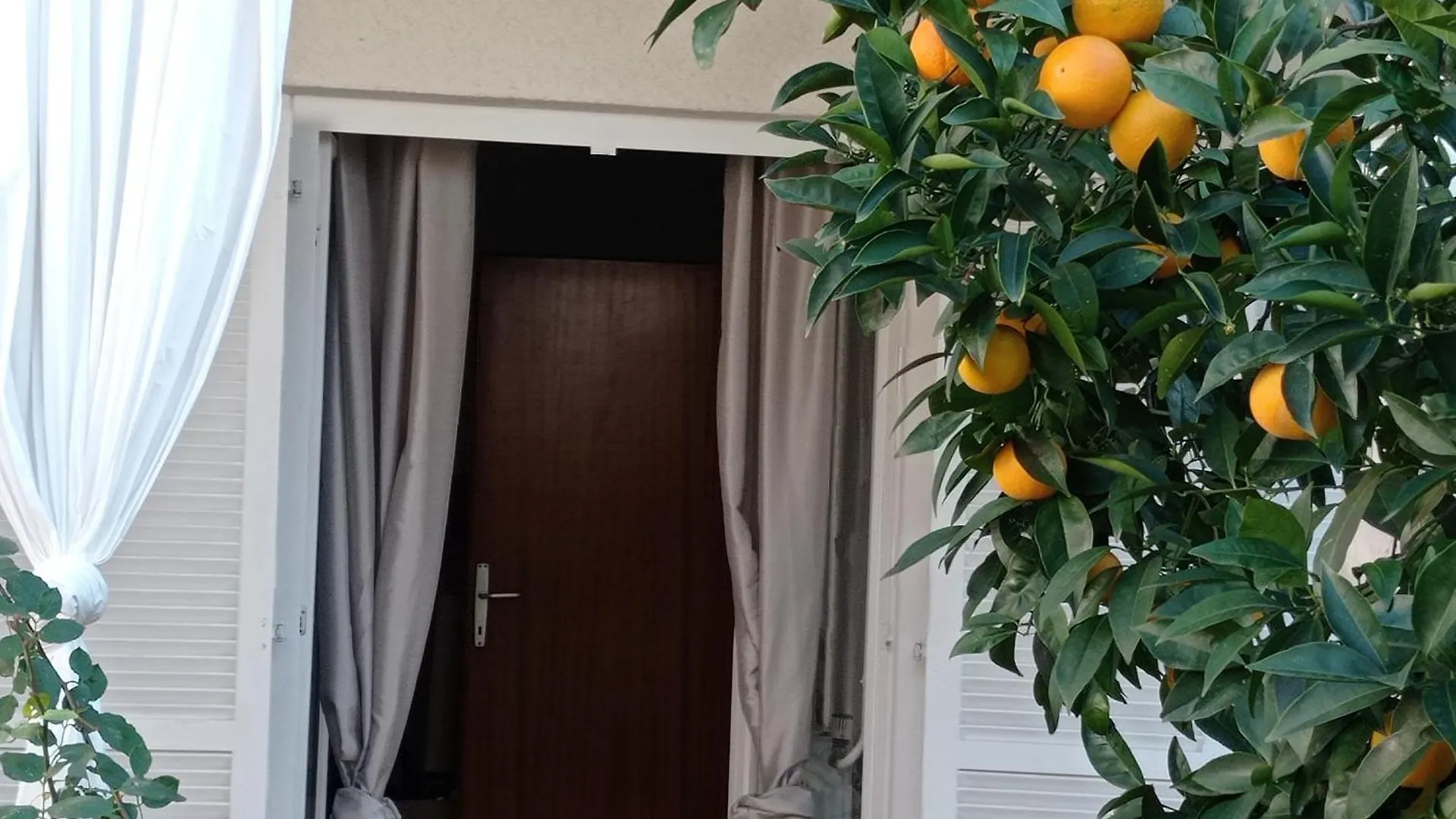 Apartment Monas I Pjescana Uvala